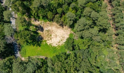 Photo #8 of 11464 Wakefield Road, Sedley, Virginia 5.5 acres