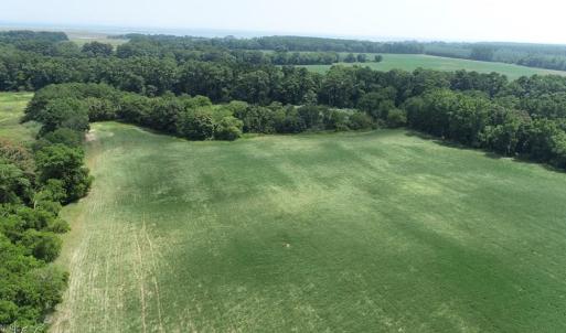 Photo #11 of 154 Metompkin Road, Parksley, Virginia 163.0 acres