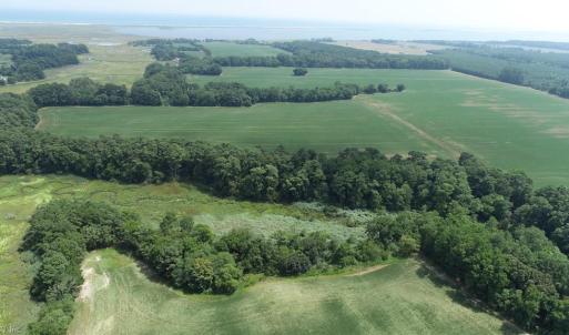 Photo #12 of 154 Metompkin Road, Parksley, Virginia 163.0 acres