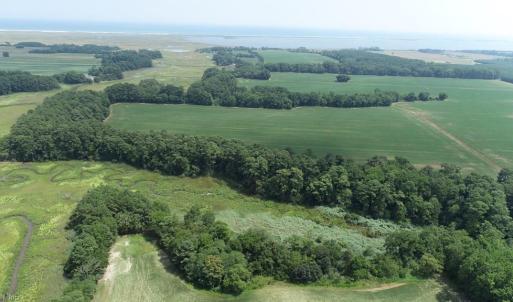 Photo #13 of 154 Metompkin Road, Parksley, Virginia 163.0 acres