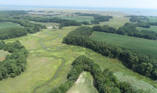 Photo #14 of 154 Metompkin Road, Parksley, Virginia 163.0 acres