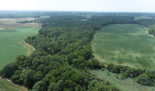 Photo #15 of 154 Metompkin Road, Parksley, Virginia 163.0 acres