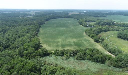 Photo #17 of 154 Metompkin Road, Parksley, Virginia 163.0 acres