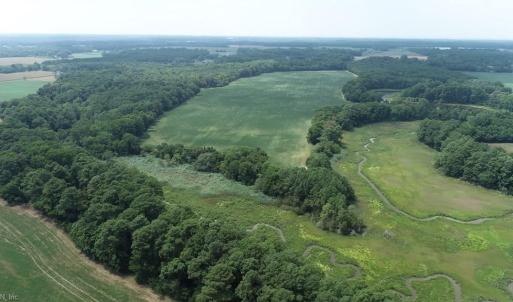 Photo #19 of 154 Metompkin Road, Parksley, Virginia 163.0 acres