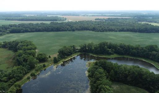 Photo #26 of 154 Metompkin Road, Parksley, Virginia 163.0 acres