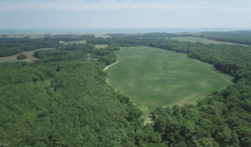 Photo #32 of 154 Metompkin Road, Parksley, Virginia 163.0 acres
