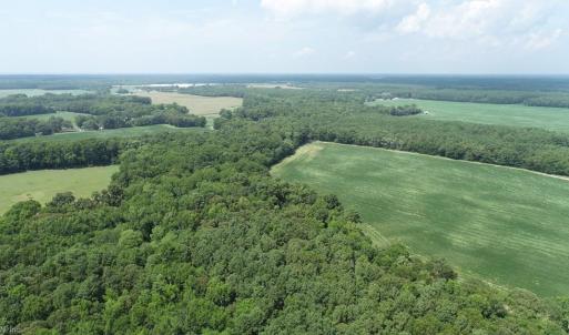 Photo #38 of 154 Metompkin Road, Parksley, Virginia 163.0 acres