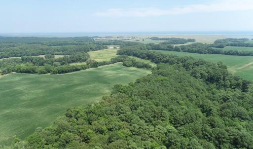 Photo #39 of 154 Metompkin Road, Parksley, Virginia 163.0 acres