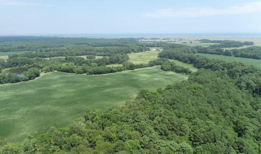 Photo #40 of 154 Metompkin Road, Parksley, Virginia 163.0 acres