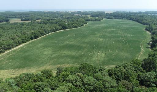 Photo #6 of 154 Metompkin Road, Parksley, Virginia 163.0 acres