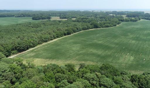 Photo #7 of 154 Metompkin Road, Parksley, Virginia 163.0 acres