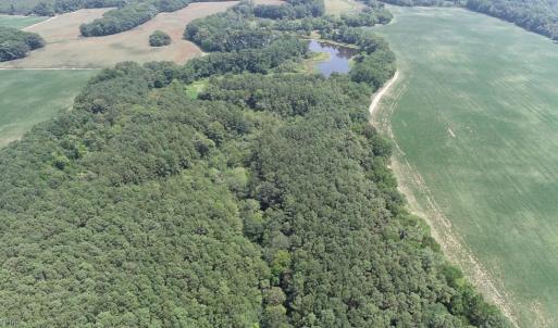 Photo #9 of 154 Metompkin Road, Parksley, Virginia 163.0 acres