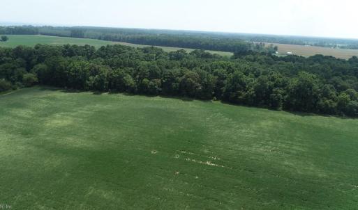 Photo #10 of 154 Metompkin Road, Parksley, Virginia 163.0 acres