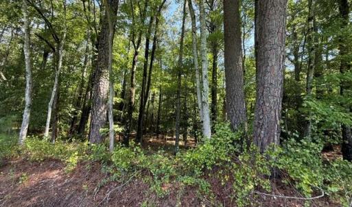 Photo #5 of White Marsh Road, Elberon, Virginia