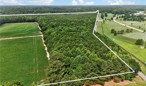 Photo #14 of 73.58 AC Milners Road, Suffolk, Virginia 73.6 acres