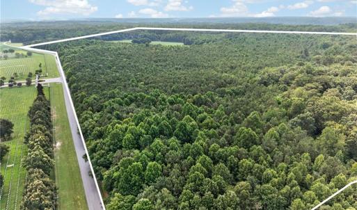 Photo #15 of 73.58 AC Milners Road, Suffolk, Virginia 73.6 acres