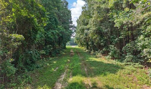 Photo #17 of 73.58 AC Milners Road, Suffolk, Virginia 73.6 acres