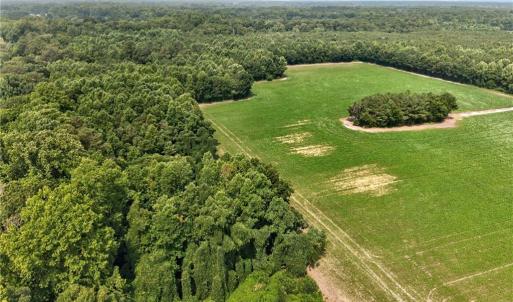 Photo #20 of 73.58 AC Milners Road, Suffolk, Virginia 73.6 acres
