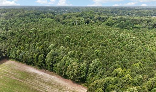 Photo #27 of 73.58 AC Milners Road, Suffolk, Virginia 73.6 acres
