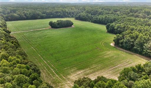 Photo #28 of 73.58 AC Milners Road, Suffolk, Virginia 73.6 acres