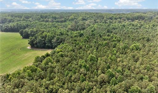 Photo #30 of 73.58 AC Milners Road, Suffolk, Virginia 73.6 acres