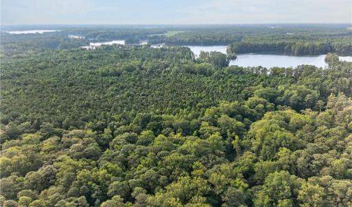 Photo #4 of 73.58 AC Milners Road, Suffolk, Virginia 73.6 acres
