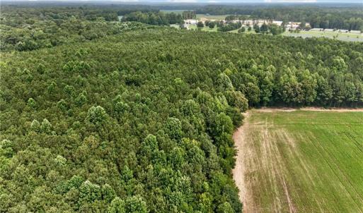 Photo #31 of 73.58 AC Milners Road, Suffolk, Virginia 73.6 acres