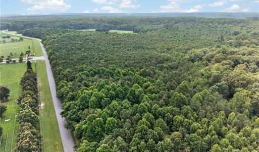 Photo #33 of 73.58 AC Milners Road, Suffolk, Virginia 73.6 acres