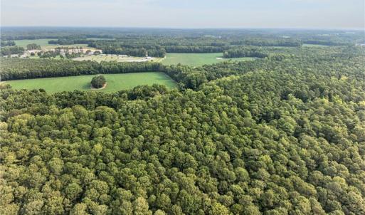 Photo #7 of 73.58 AC Milners Road, Suffolk, Virginia 73.6 acres