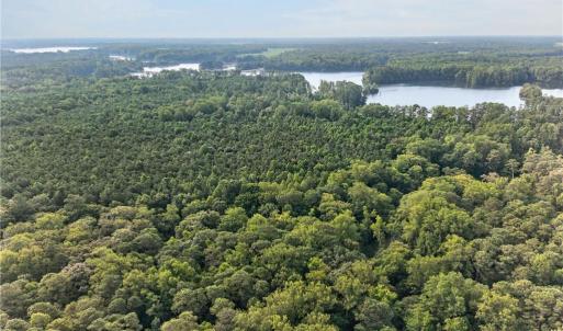 Photo #4 of 73.58 AC Milners Road, Suffolk, Virginia 73.6 acres
