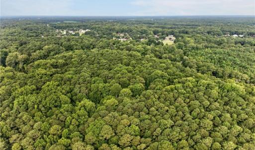 Photo #6 of 73.58 AC Milners Road, Suffolk, Virginia 73.6 acres