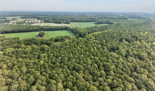 Photo #7 of 73.58 AC Milners Road, Suffolk, Virginia 73.6 acres