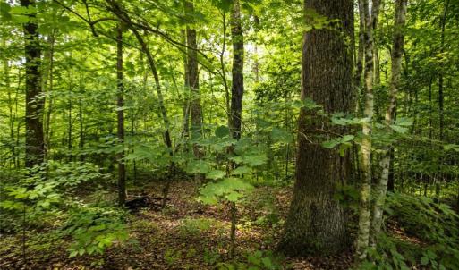 Photo #5 of 9225 Diascund Road, Lanexa, Virginia 4.0 acres