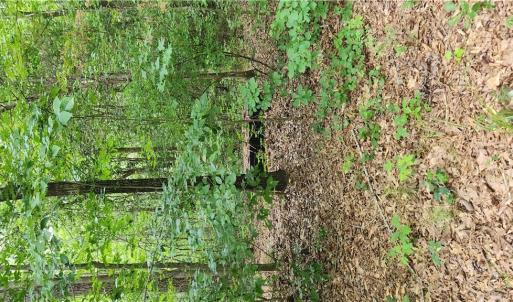 Photo #6 of 9225 Diascund Road, Lanexa, Virginia 4.0 acres