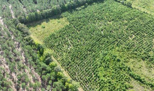 Photo #14 of 25.4 Courthouse Road, Stony Creek, Virginia 25.4 acres