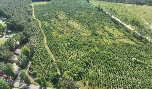 Photo #16 of 25.4 Courthouse Road, Stony Creek, Virginia 25.4 acres