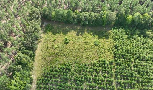 Photo #19 of 25.4 Courthouse Road, Stony Creek, Virginia 25.4 acres