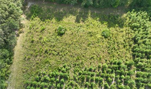 Photo #20 of 25.4 Courthouse Road, Stony Creek, Virginia 25.4 acres