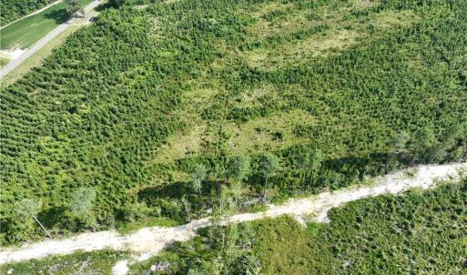Photo #5 of 25.4 Courthouse Road, Stony Creek, Virginia 25.4 acres