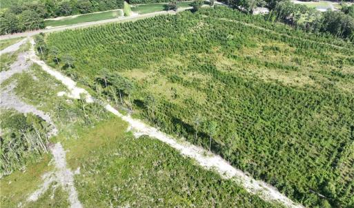 Photo #6 of 25.4 Courthouse Road, Stony Creek, Virginia 25.4 acres