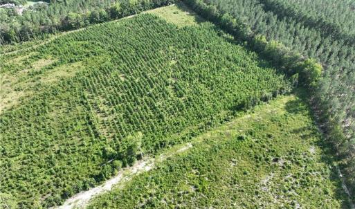 Photo #7 of 25.4 Courthouse Road, Stony Creek, Virginia 25.4 acres