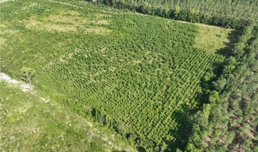 Photo #8 of 25.4 Courthouse Road, Stony Creek, Virginia 25.4 acres