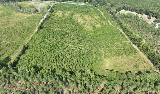 Photo #9 of 25.4 Courthouse Road, Stony Creek, Virginia 25.4 acres