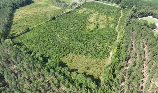 Photo #10 of 25.4 Courthouse Road, Stony Creek, Virginia 25.4 acres