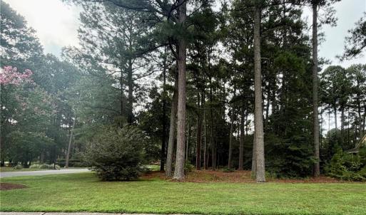 Photo #6 of Lot 8 Pitchkettle Point Drive, Suffolk, Virginia