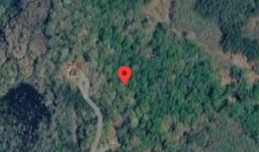 A true nature lover's paradise! This mostly wooded 8.103-acre lot offers exceptional privacy and natural beauty, bounded to the east by a peaceful run with scenic ravines running through the property.