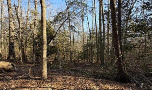 Photo #1 of 4.68AC King William Road, King William, Virginia 4.7 acres