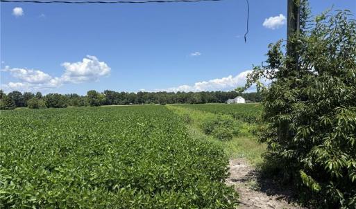 Photo #6 of 4332 Sunray Avenue, Chesapeake, Virginia 10.0 acres