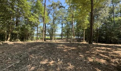 Photo #13 of 3 Lots Highgate Lane, Gloucester, Virginia 17.0 acres