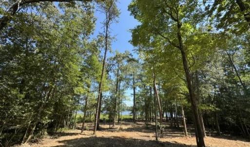 Photo #14 of 3 Lots Highgate Lane, Gloucester, Virginia 17.0 acres